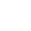 Detailed Inspection Reports